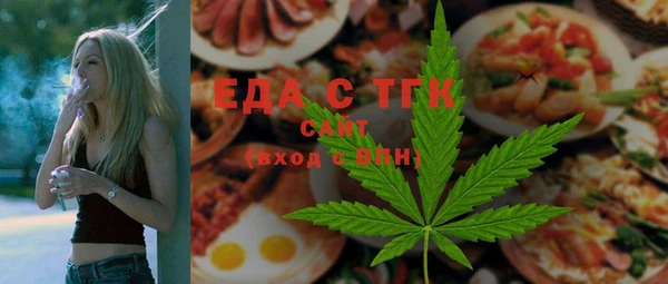 хмурый Алексин