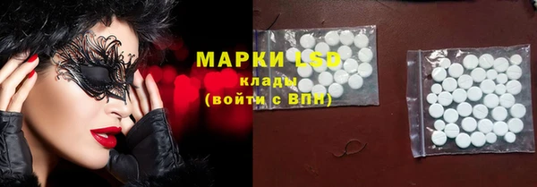 гидра Алзамай