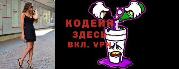 хмурый Алексин
