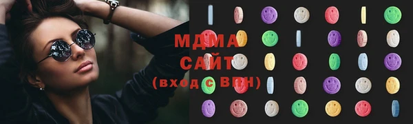 хмурый Алексин