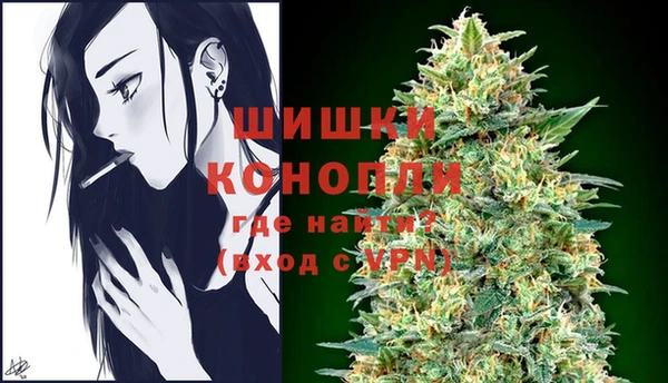 гидра Алзамай