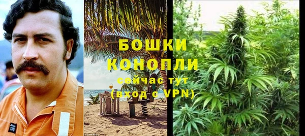 apvp Дмитриев