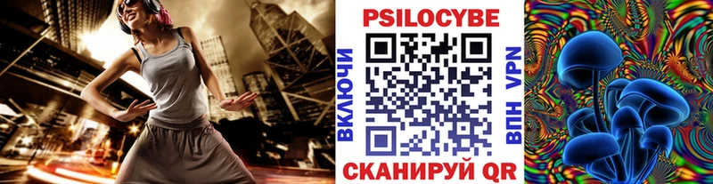 закладки  Могоча  Галлюциногенные грибы Psilocybe 